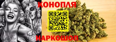 крисы Пыть-Ях