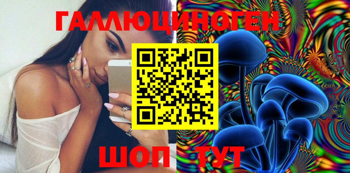 Псилоцибиновые грибы Psilocybe  закладки  Реж  Вход с VPN 